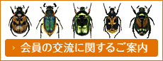 会員の交流に関するご案内