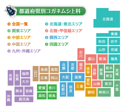 都道府県別コガネムシ上科