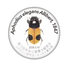 観察会2026_ピンバッジ図案